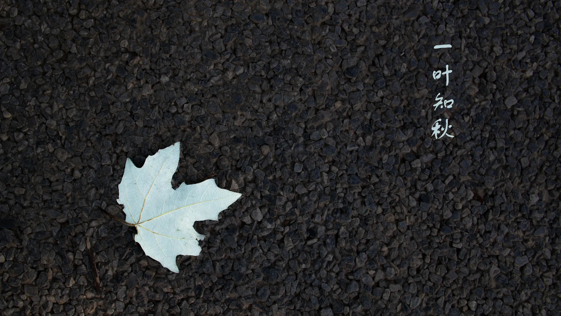 秋叶简约AI艺术4K壁纸