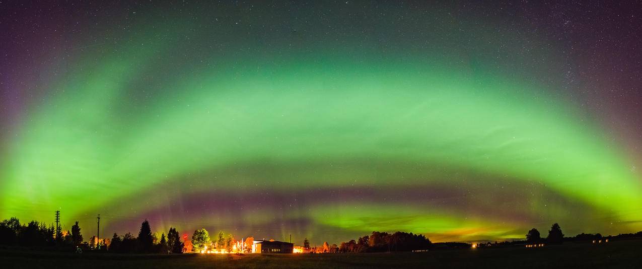 自然风景树木北极光天空星星鱼屏壁纸