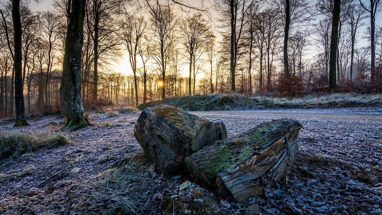 冬季4K高清壁纸下载