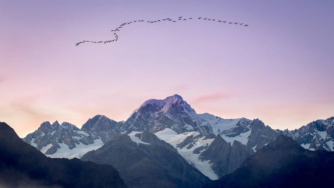 山峰雁归来，自然风光高清壁纸