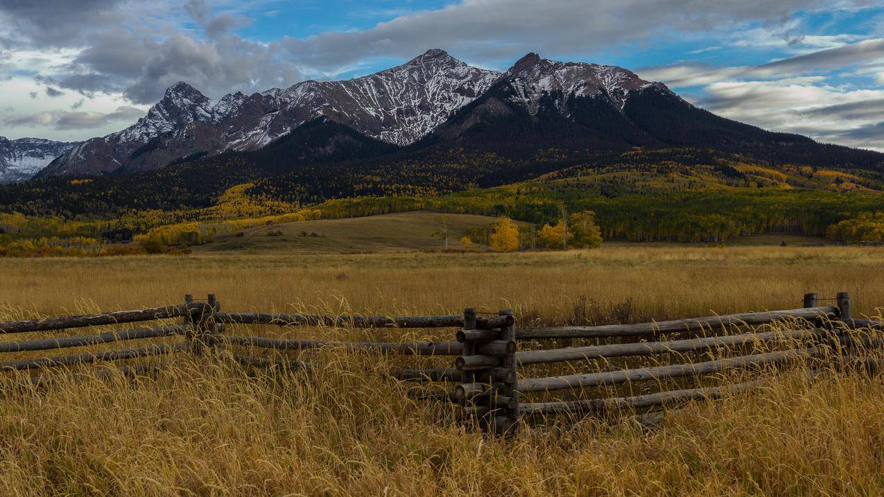 篱笆4K高清壁纸下载