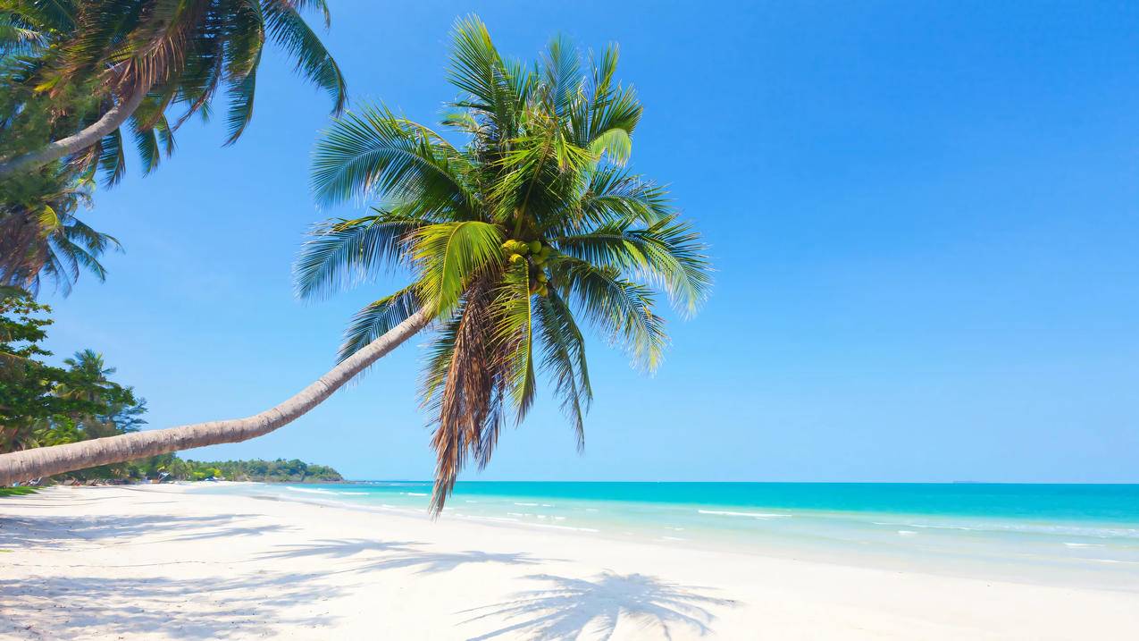 热带海边沙滩4K风景壁纸