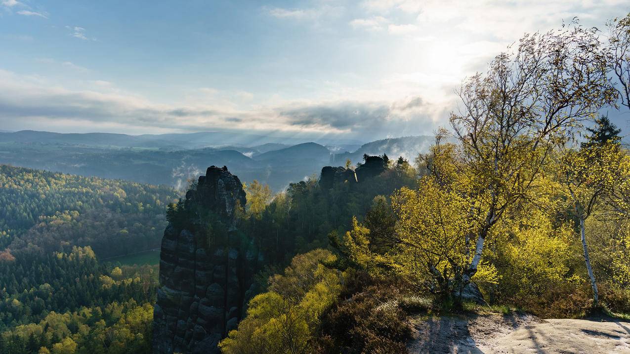 风景 自然风光 山峰 森林 高清壁纸