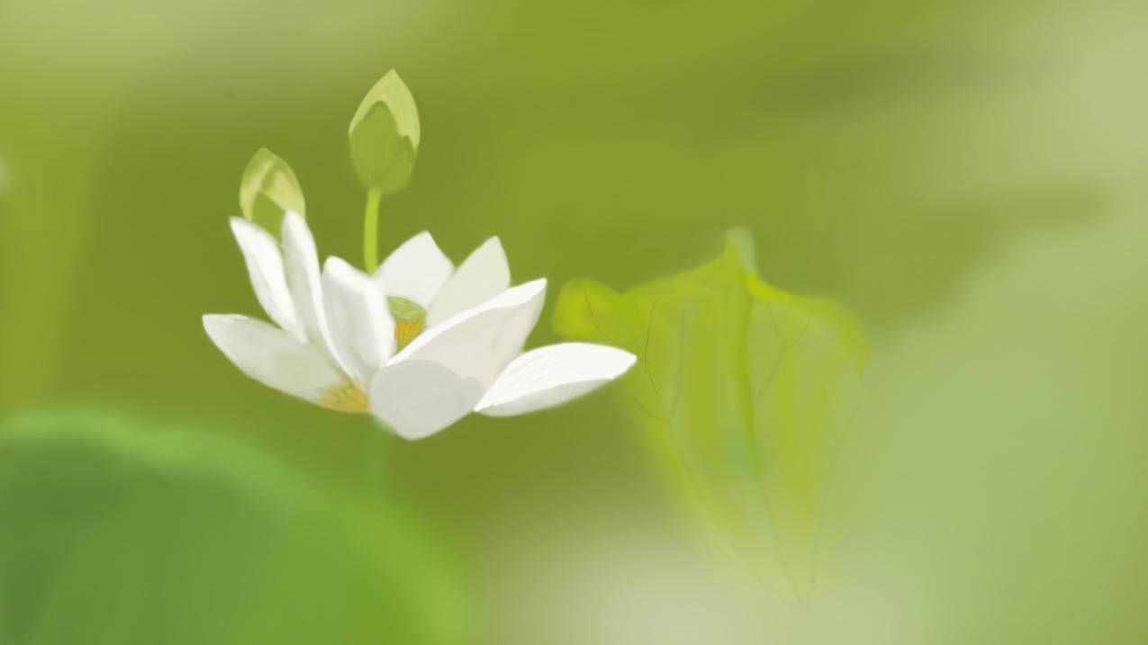 白荷手绘风景电脑壁纸