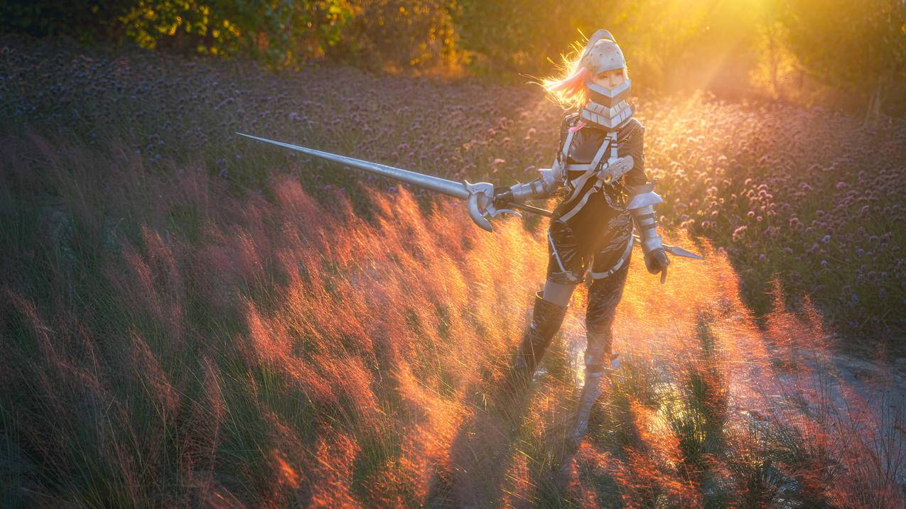 重装少女cosplay阳光鲜花壁纸