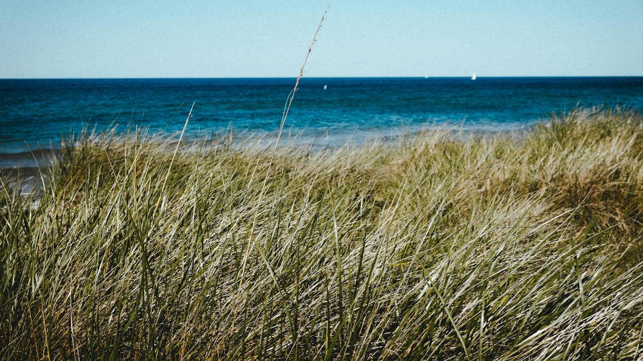风景大海沙滩4K壁纸 高清