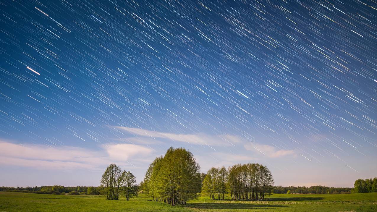 树林流星4K风景壁纸