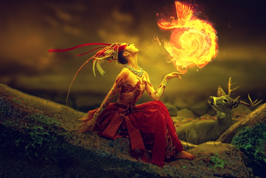 美女火凤凰高清壁纸