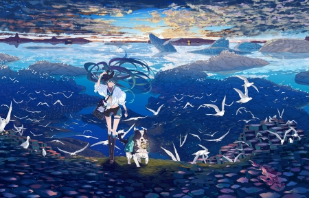 日落 天空 云 鸟 海 VOC