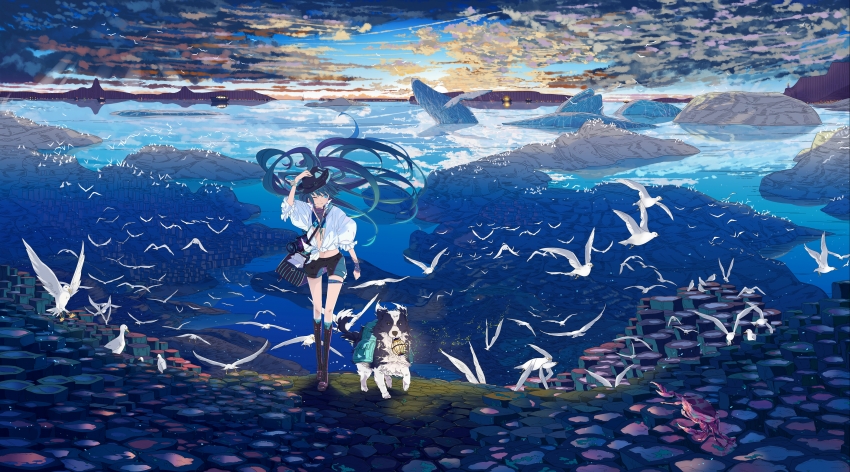 日落 天空 云 鸟 海 VOC