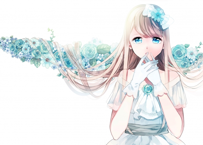 花 白色的礼服 白色背景