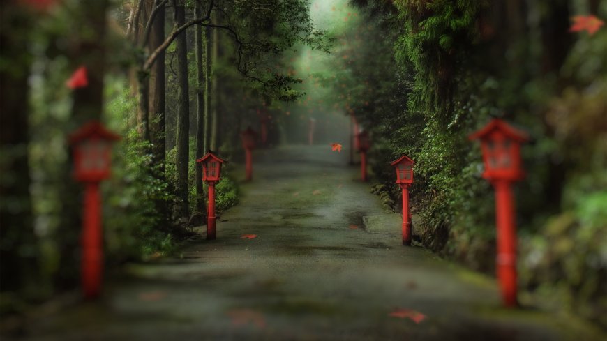 文艺唯美绿荫小道壁纸