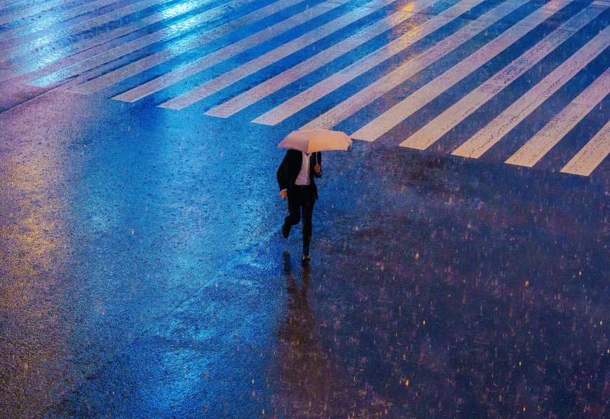 雨夜斑马线行人壁纸 4K