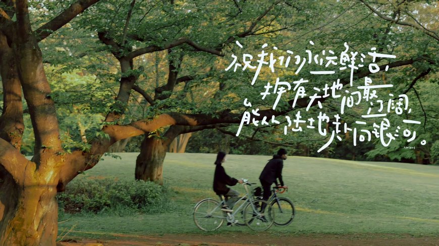 永远鲜活的骑行时光 树林风景电脑壁纸