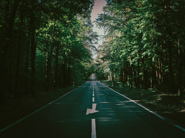 自然风光8K壁纸：森林道路夏日绿意