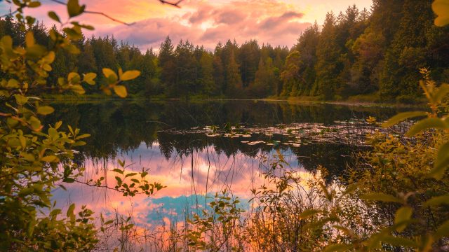 湖光山色4K壁纸，松影云影自然风光